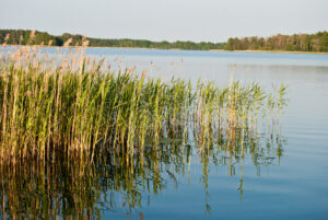 krakow_urlaub_see_2013(4)